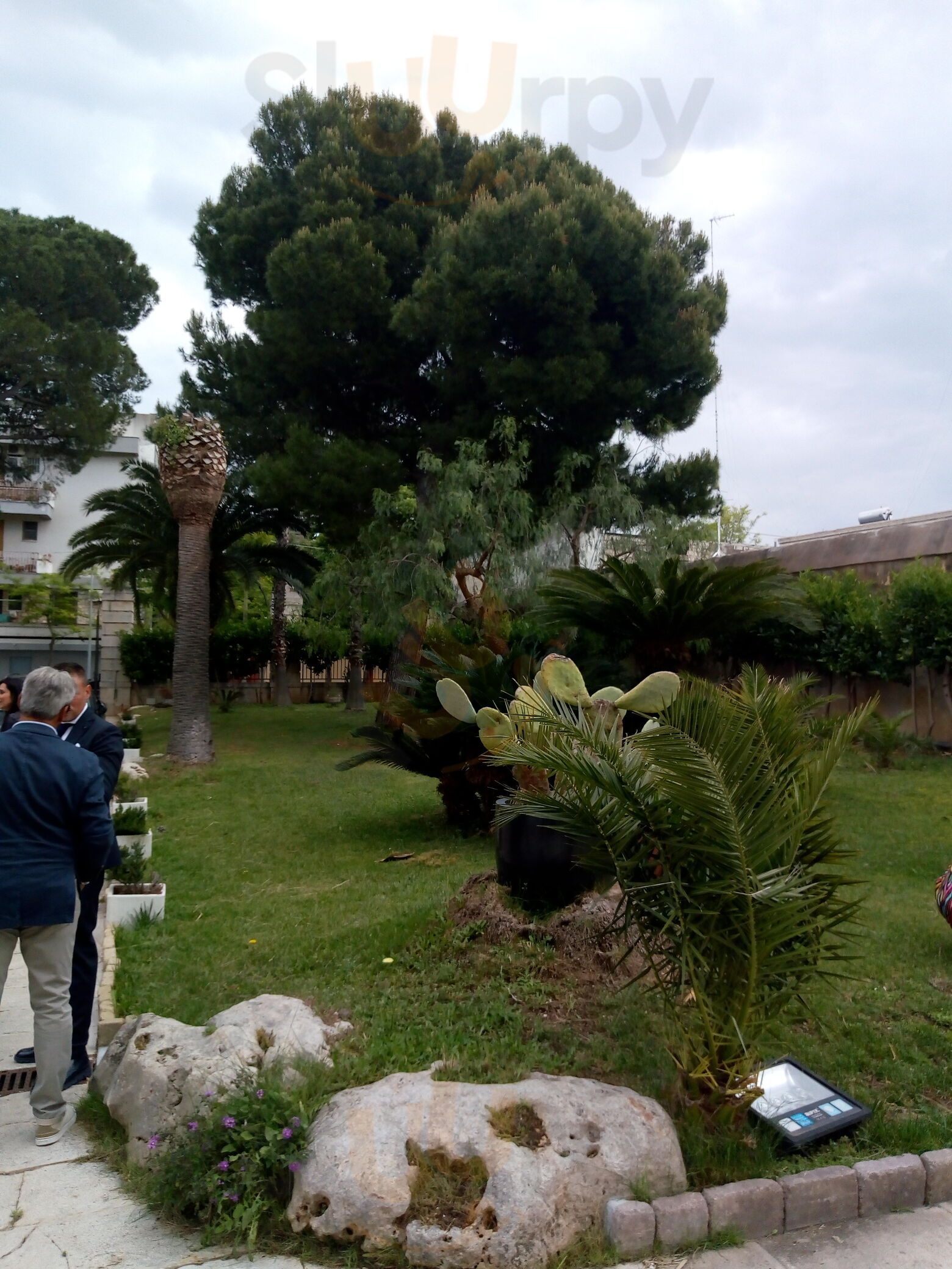 Foto 5