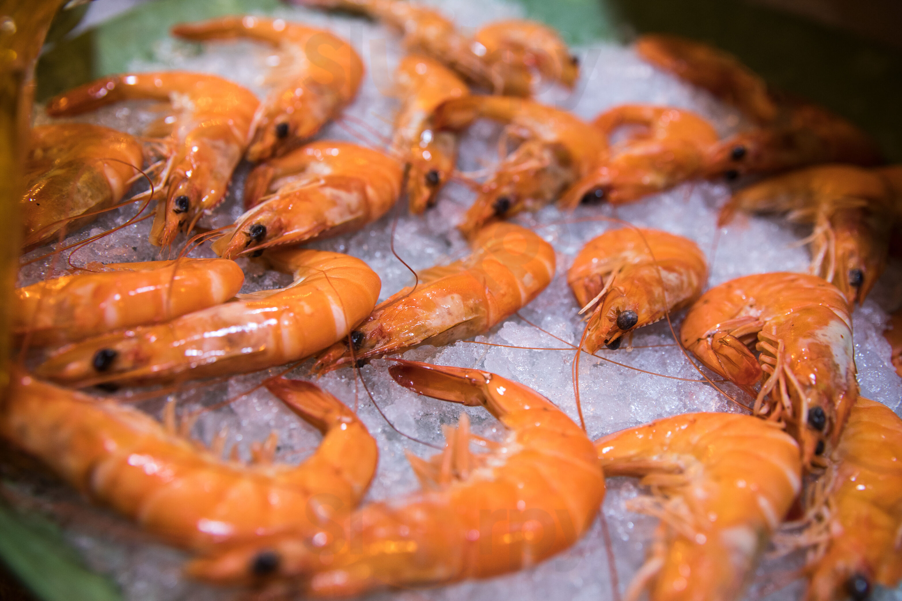 Foto 5 di Le Plateau Royal Ostriche E Crostacei