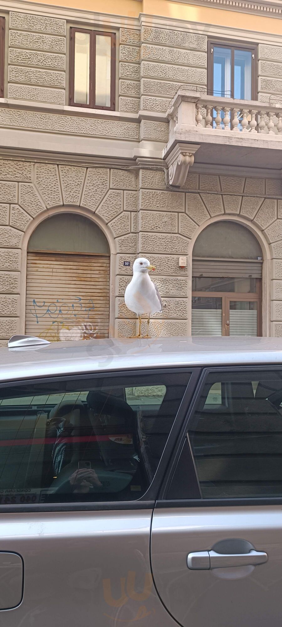 Foto di Pizzeria Il Mangione - 9/10