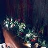 Foto di Serafina - 7/10