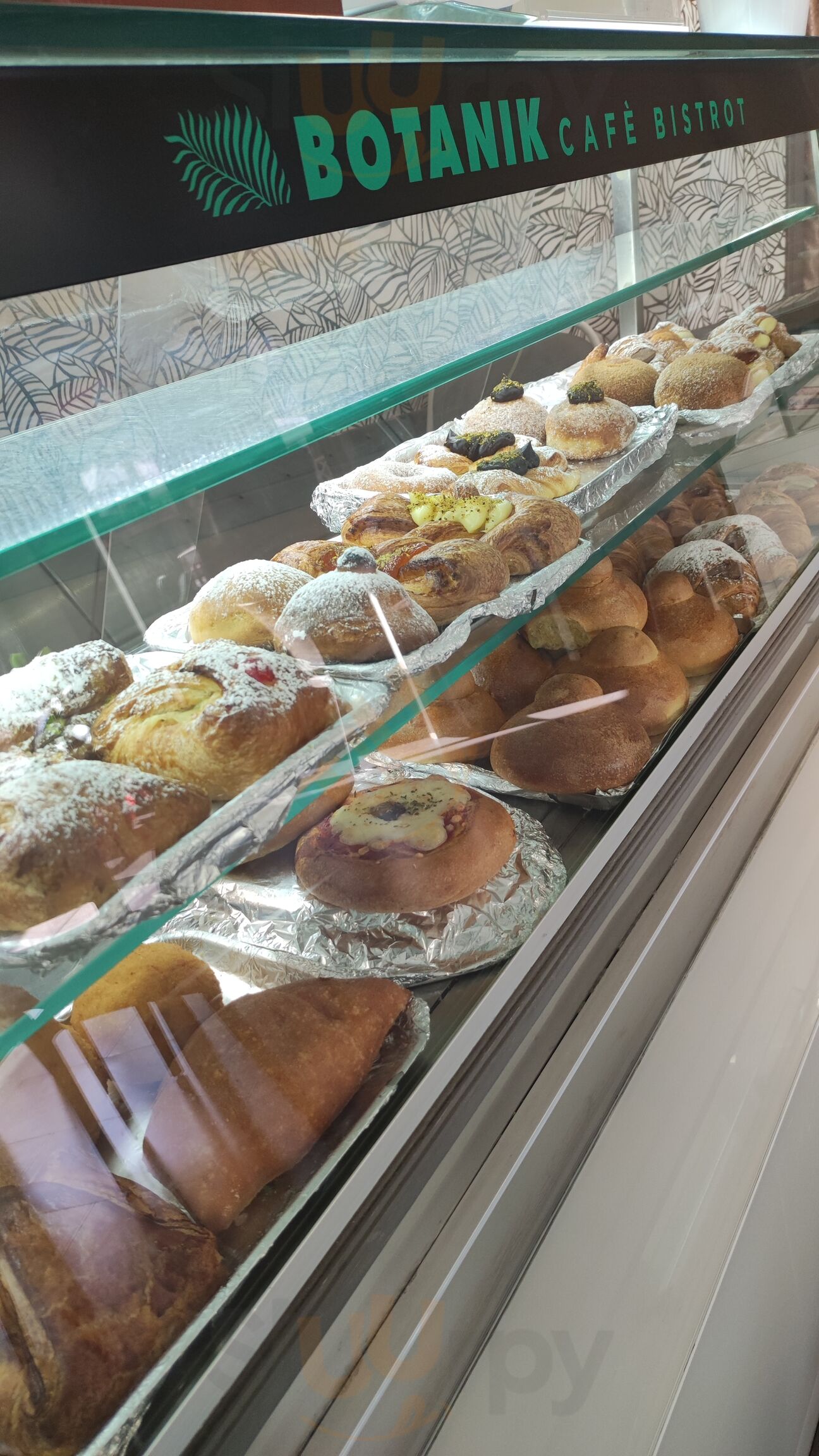 Immagine Immagine