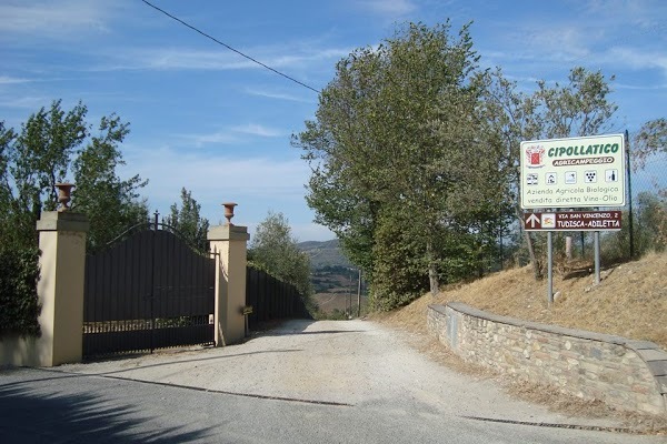 Agricampeggio Cipollatico, Montespertoli