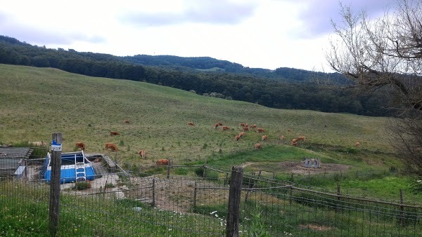 Agriturismo Confienti, Firenzuola