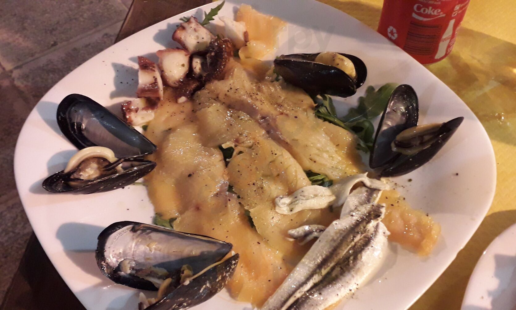 Foto di Brillo Parlante - 8/10