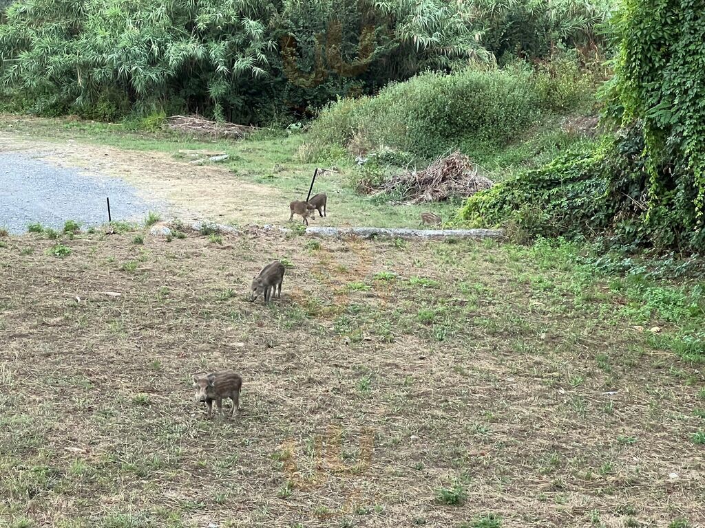 Foto di Madalu Ristoro In Valle Cristi - 7/10
