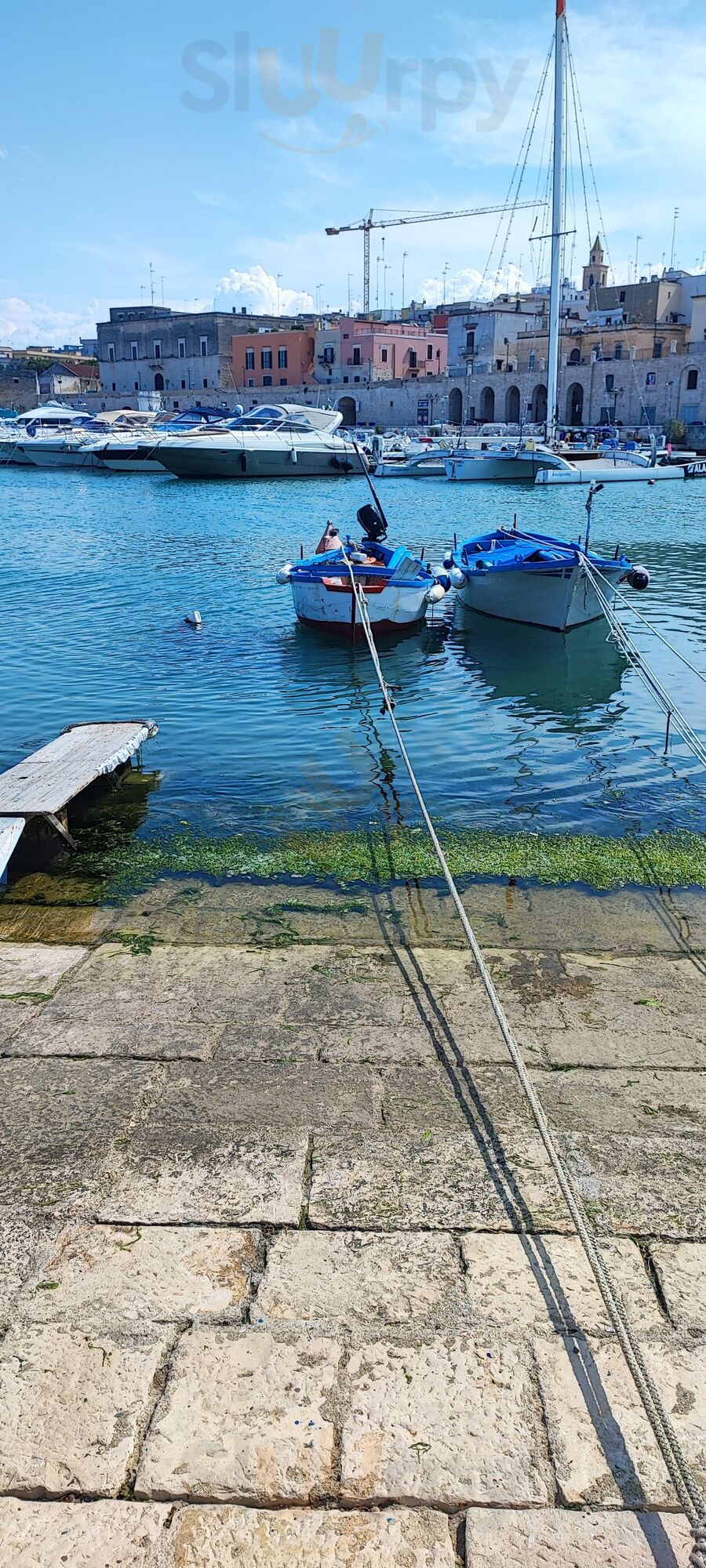Foto 6 di Krudo - Bisceglie
