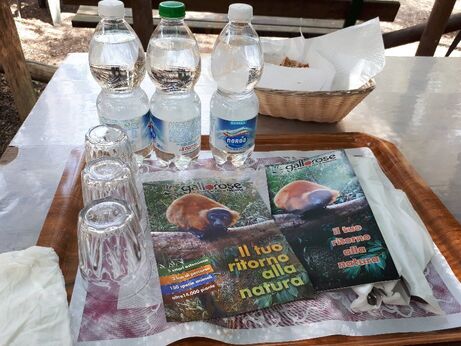 Foto di Agriristoro Parco Gallorose - 9/10