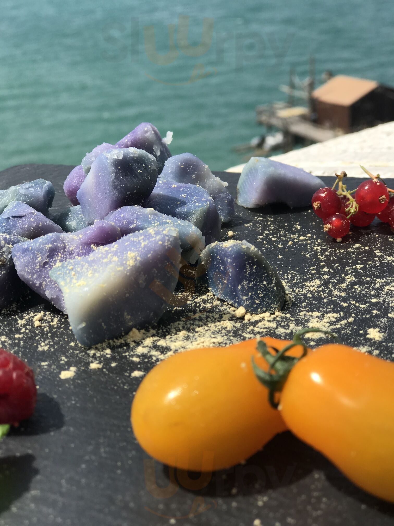 Foto 7 di Borgomastro - Termoli