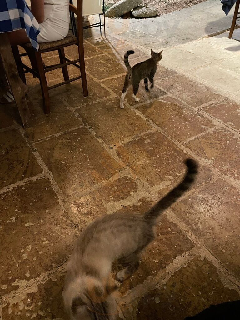 Foto 6 di Home Restaurant Scirocco - Otranto
