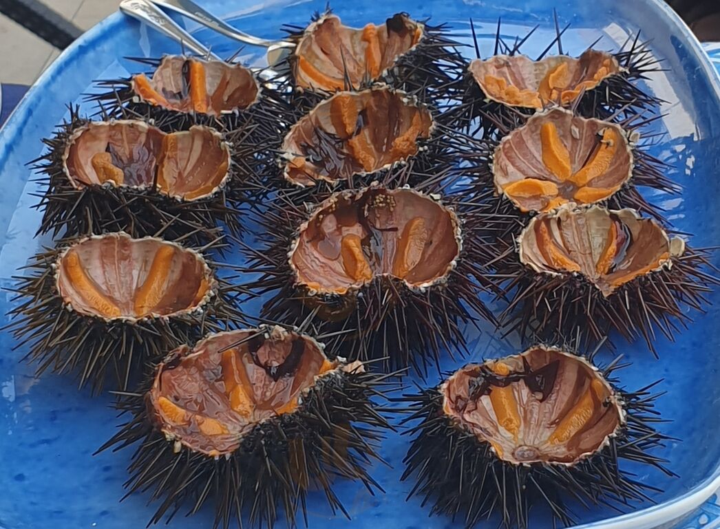 Foto 5