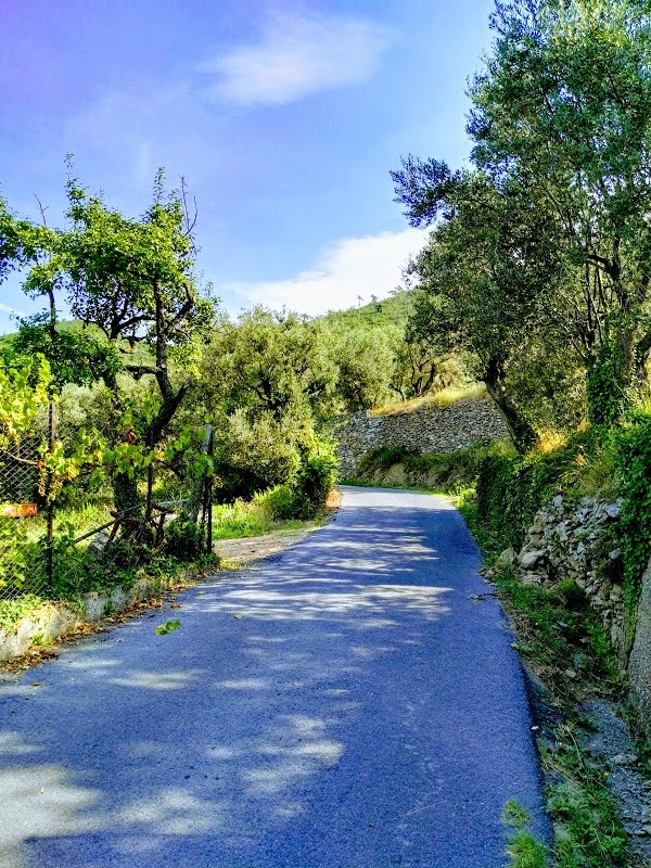 Agriturismo Gumbu Du Camallu, Arnasco