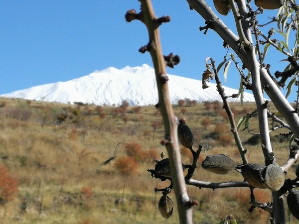 Agriturismo Rurale Oro Verde, Bronte