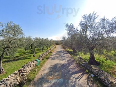 Tenuta Villa Lucia, Bitonto