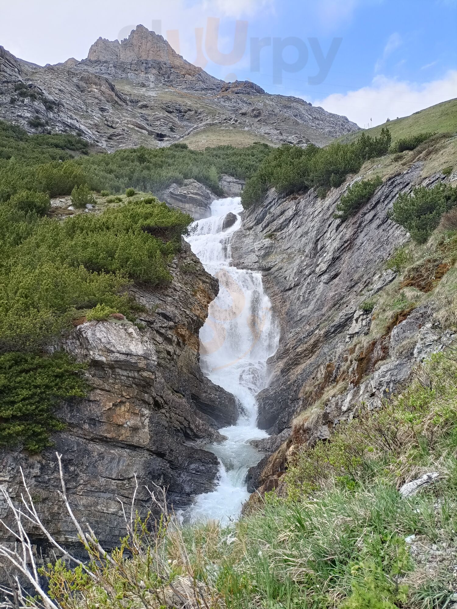 Foto di Bar Kiosk Nazionalpark - 10/10