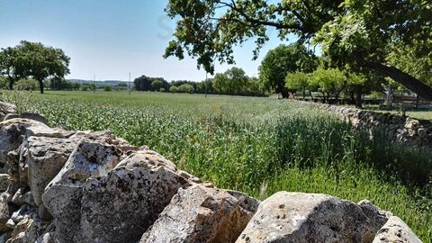 Foto di Masseria Capo Iazzo - 8/10