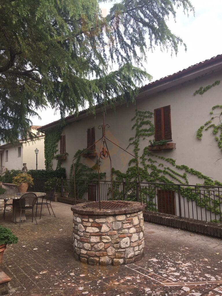 Foto 6 di Bramante - Todi