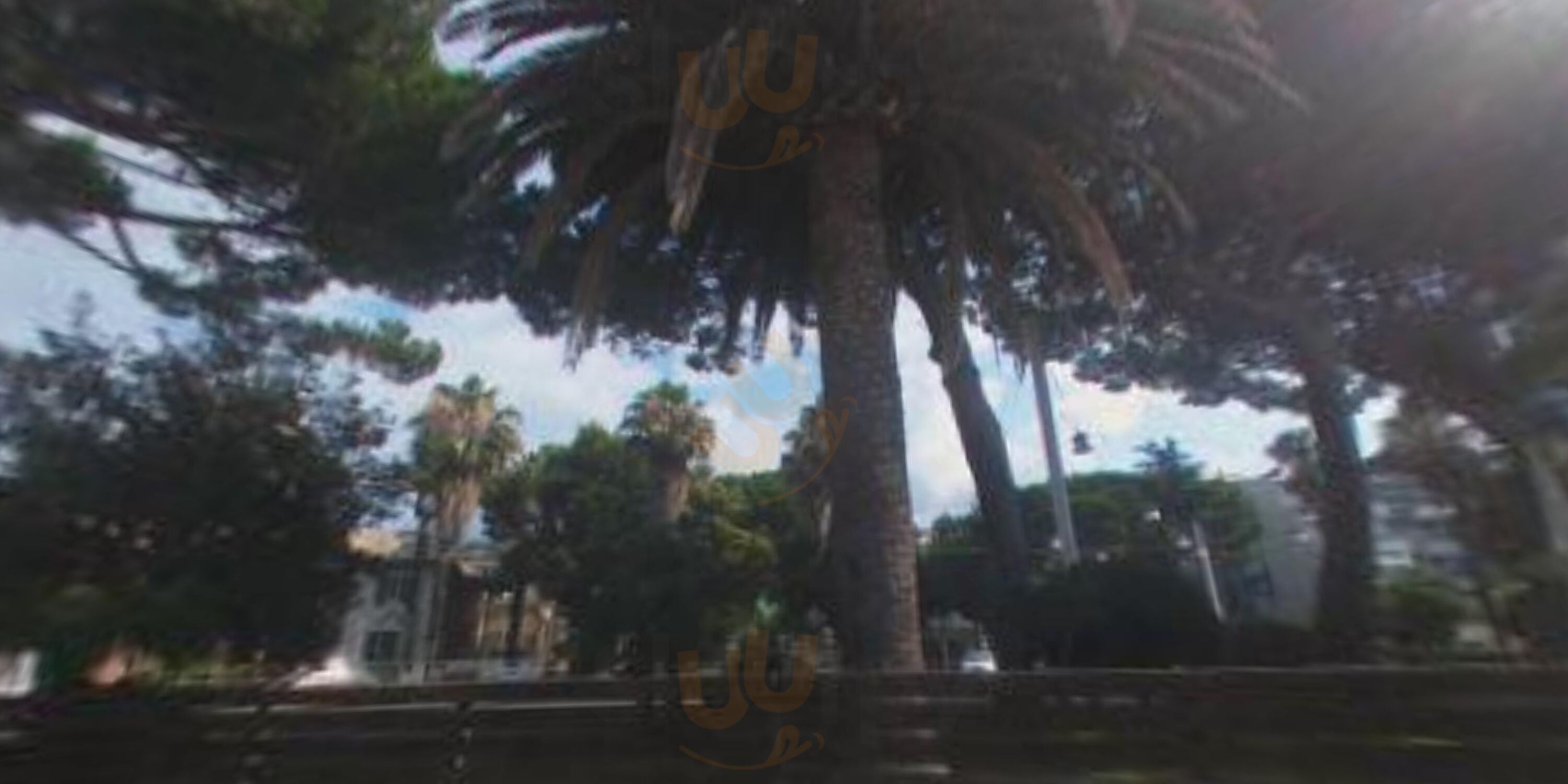 Foto 6 di La Isla - Celle Ligure