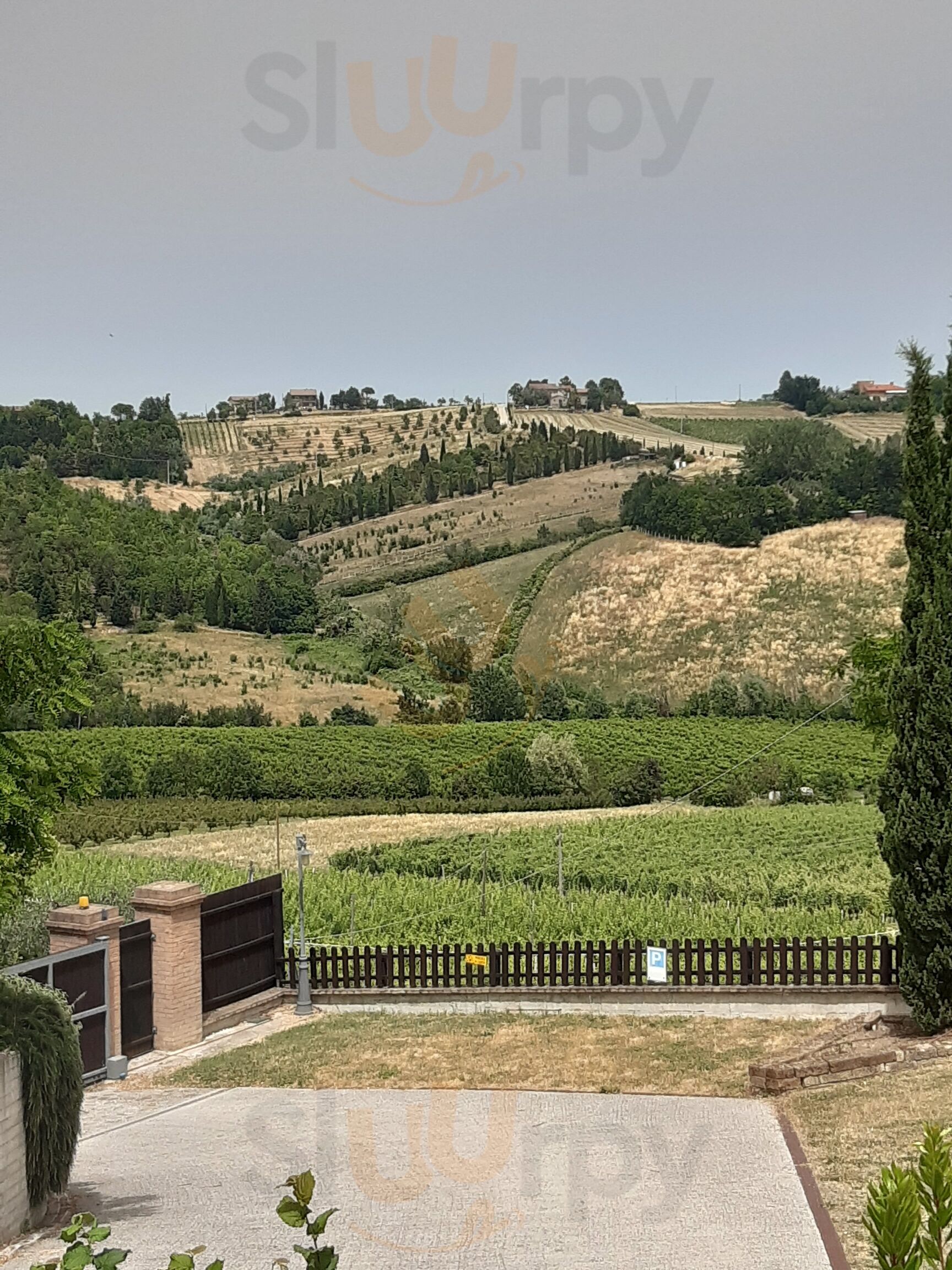 Foto di Agriturismo Le Lucciole - 6/10