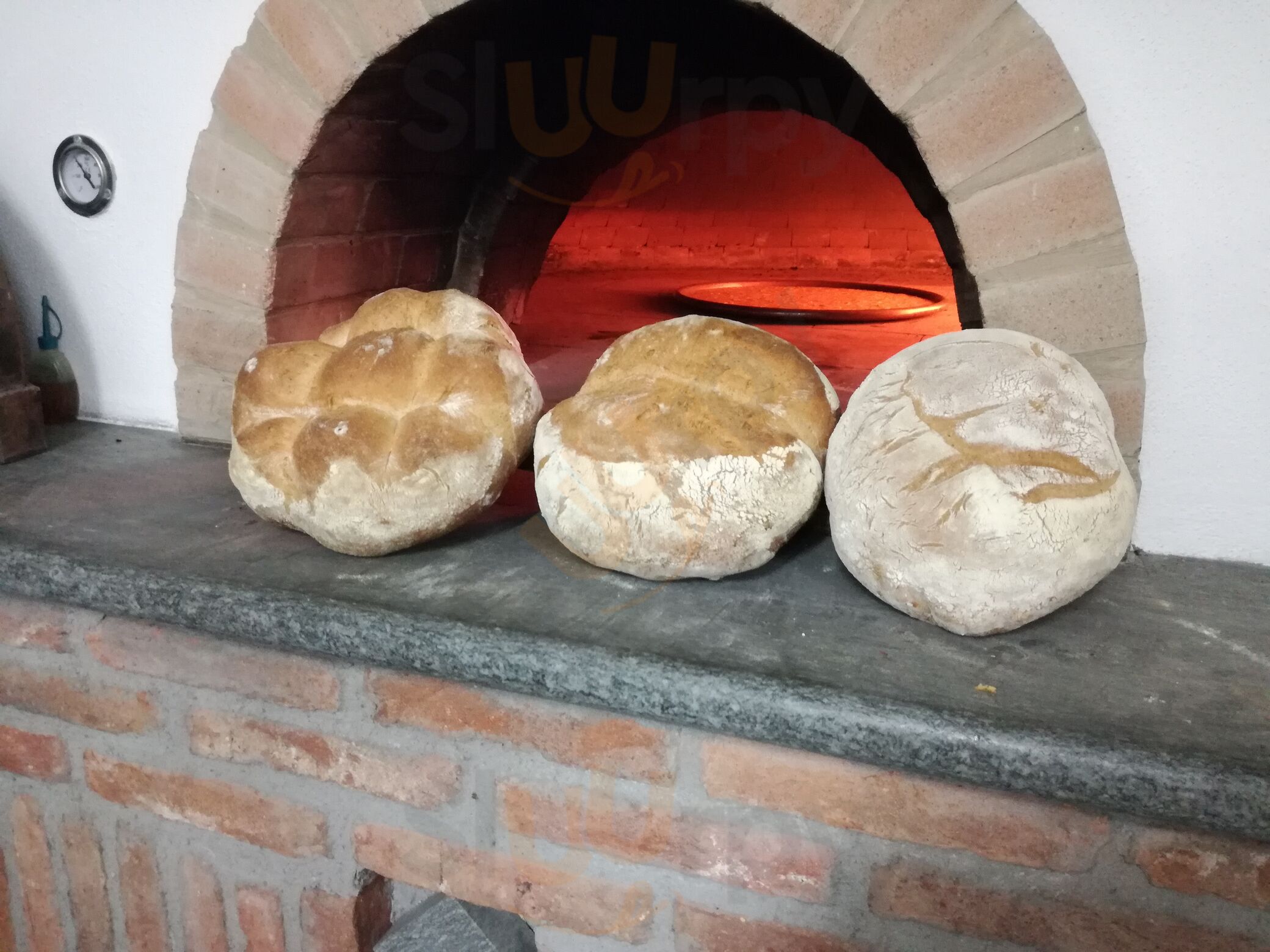 PAnetteria e Pasticceria Grasso