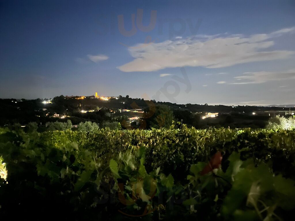 Foto di Syrah Ristorante - 8/10