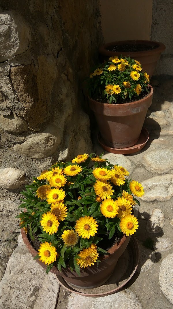 Agriturismo Torre Vecchia Di Marafi, Faicchio