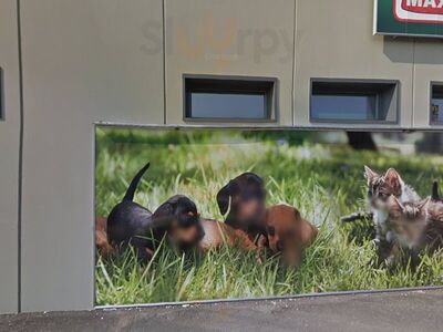 Foto 6 di Roadhouse Restaurant - Curtatone