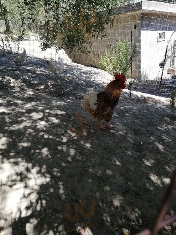 Foto di La Valle Incantata - 10/10