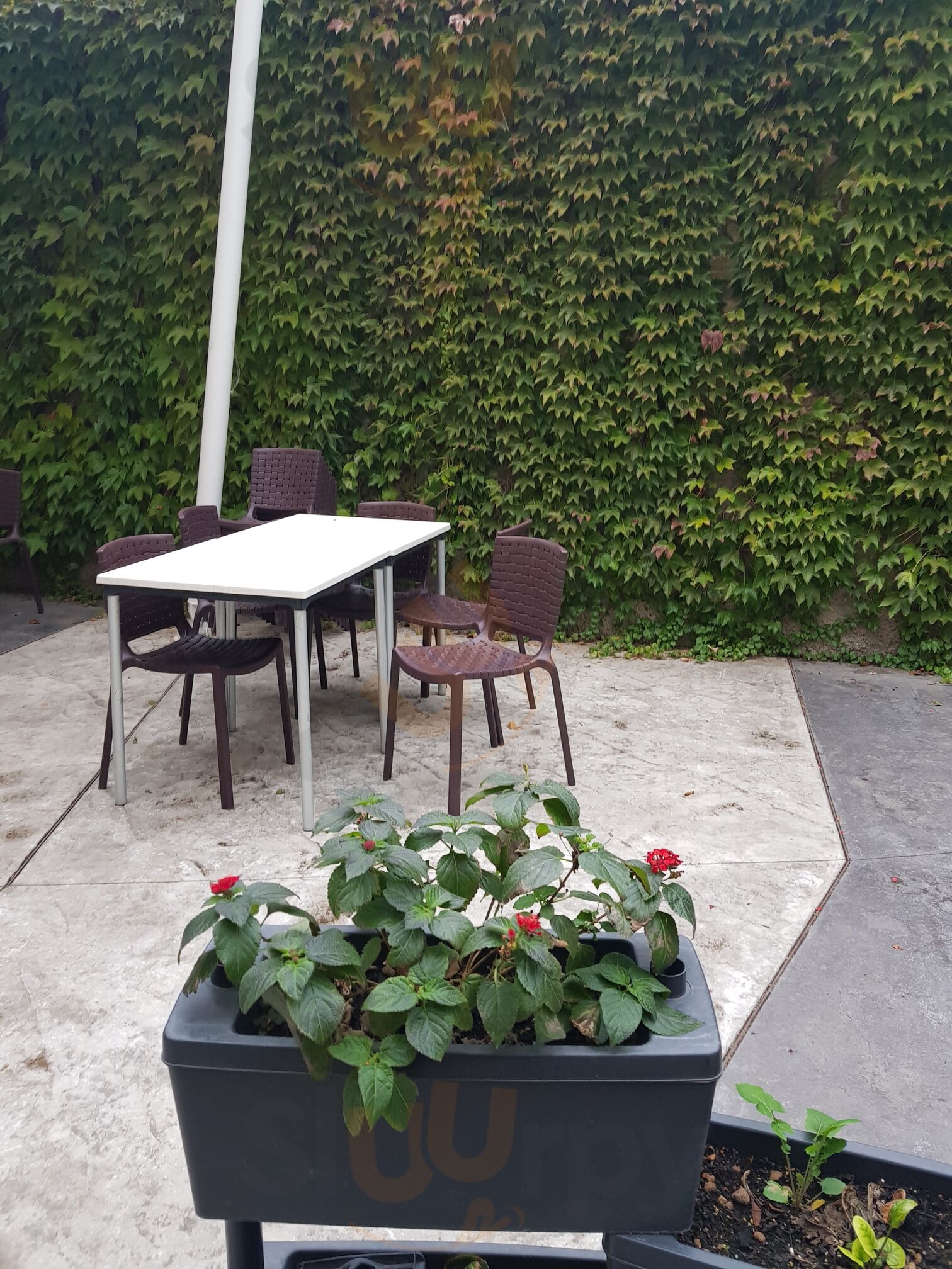 Foto 5