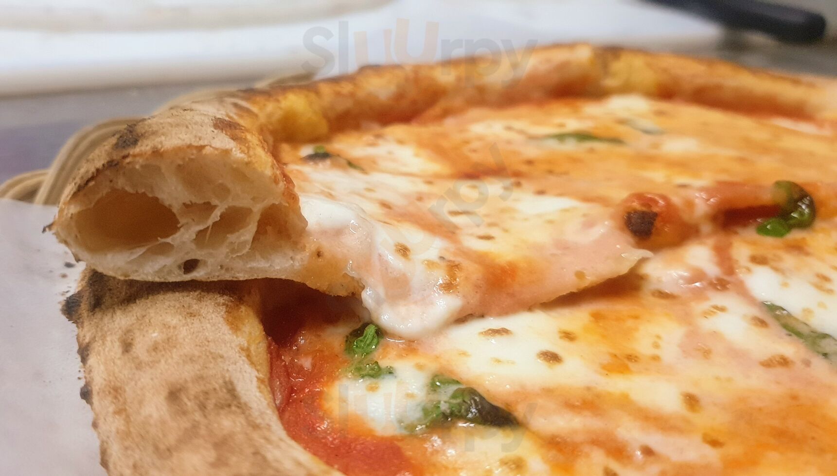 Foto di Cycas Pub - 7/7