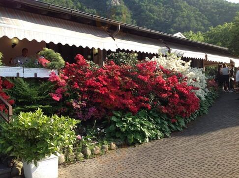 Foto di Ristorante Pizzeria Al Cantuccio - 6/10