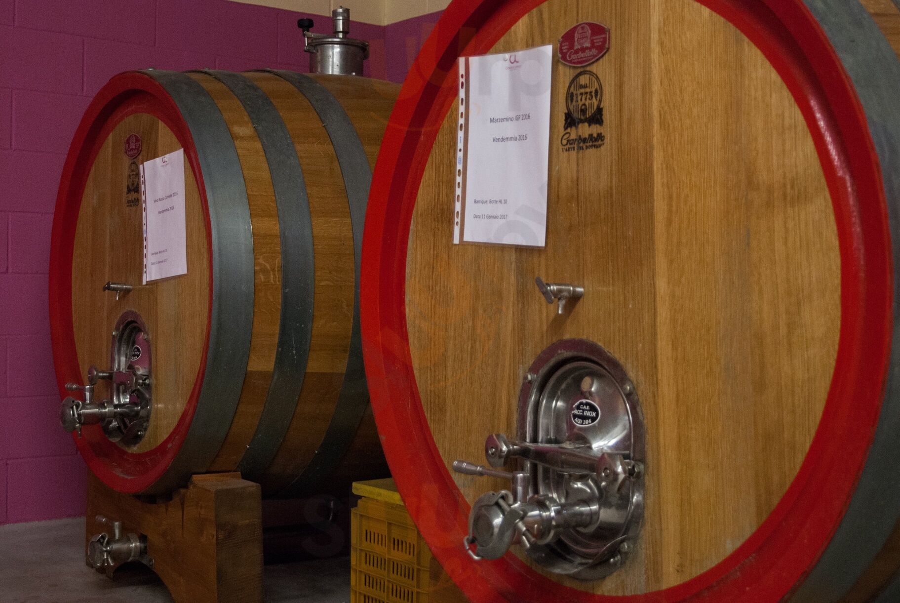 Foto di Az. Agricola Agrituristica Cascina Lorenzo - 9/10