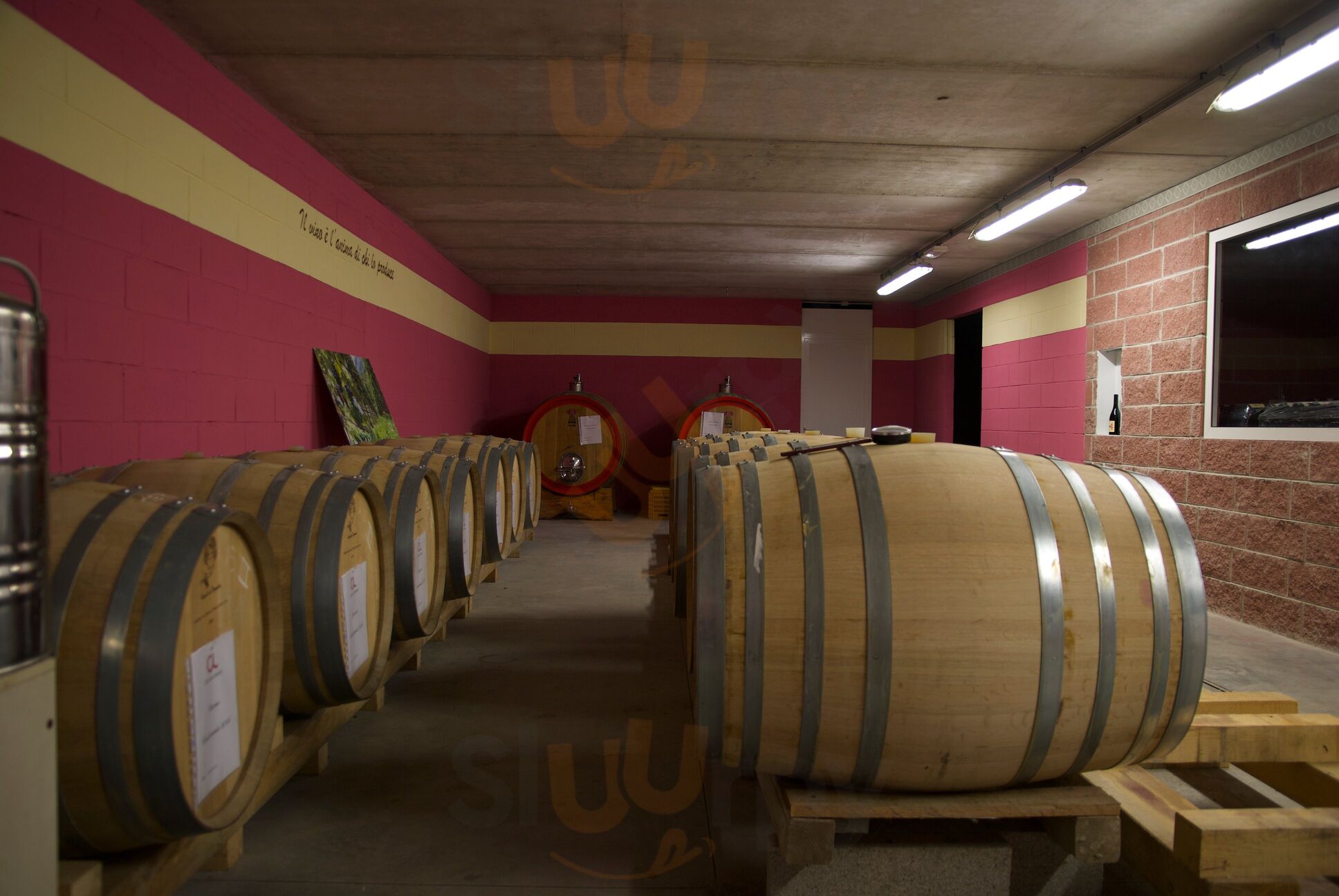 Foto di Az. Agricola Agrituristica Cascina Lorenzo - 7/10