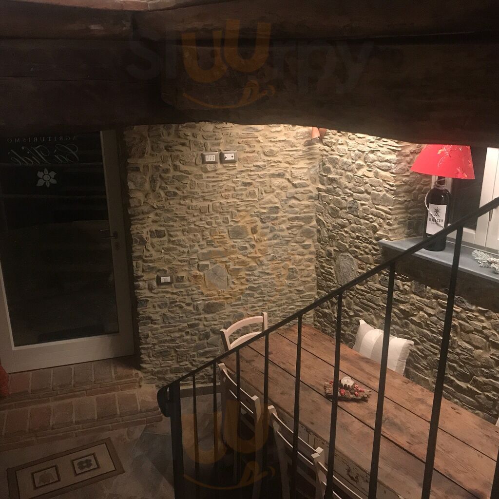 Foto di Ristorante Agriturismo Cà Vidė - 9/10