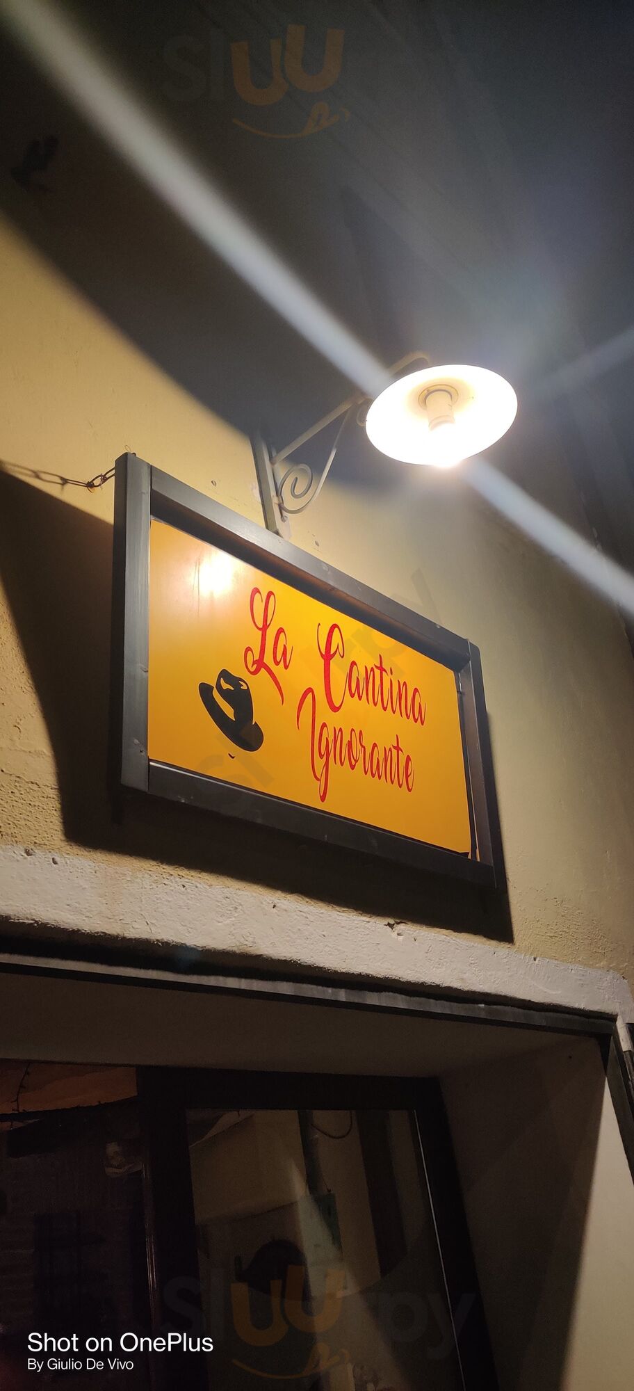 Foto 9 di La Cantina Ignorante - Morciano di Romagna