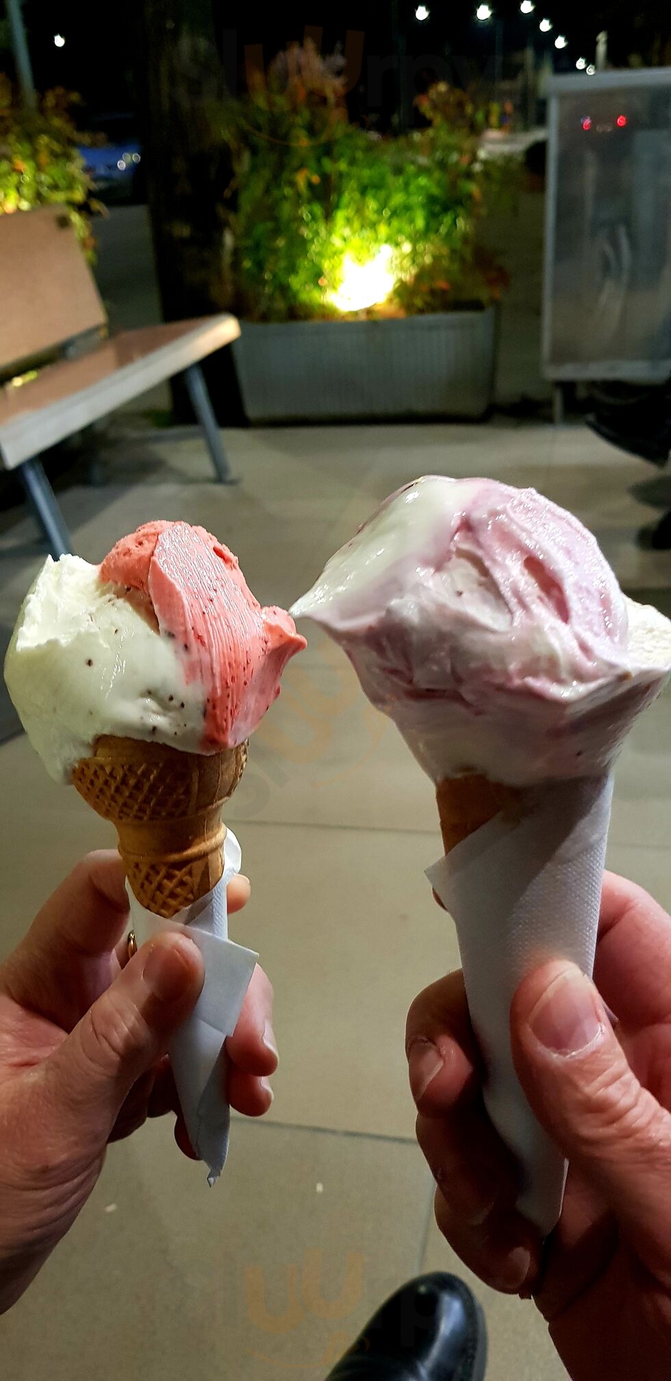 Foto 5 di Gelateria Lekka Lekka