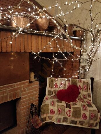 Foto di Ristorante - Tiro A Volo - 6/9