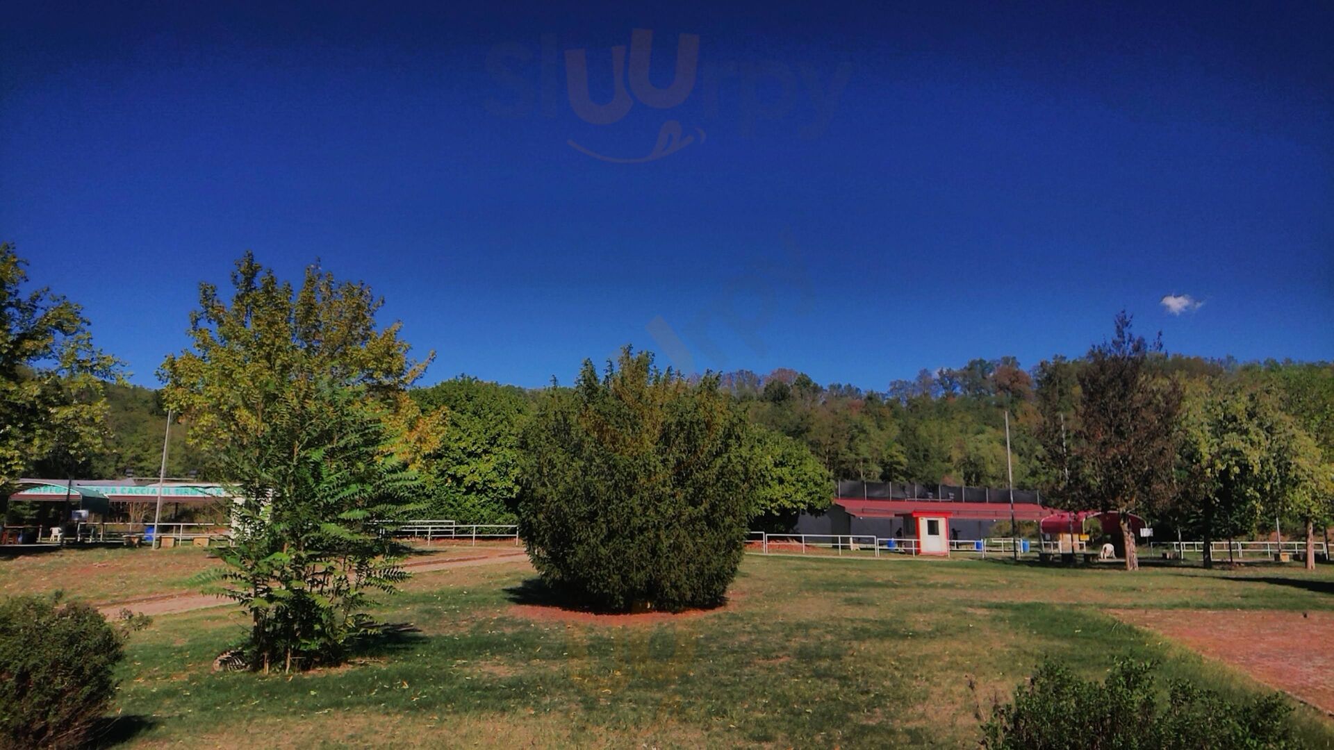 Foto di Ristorante - Tiro A Volo - 9/9