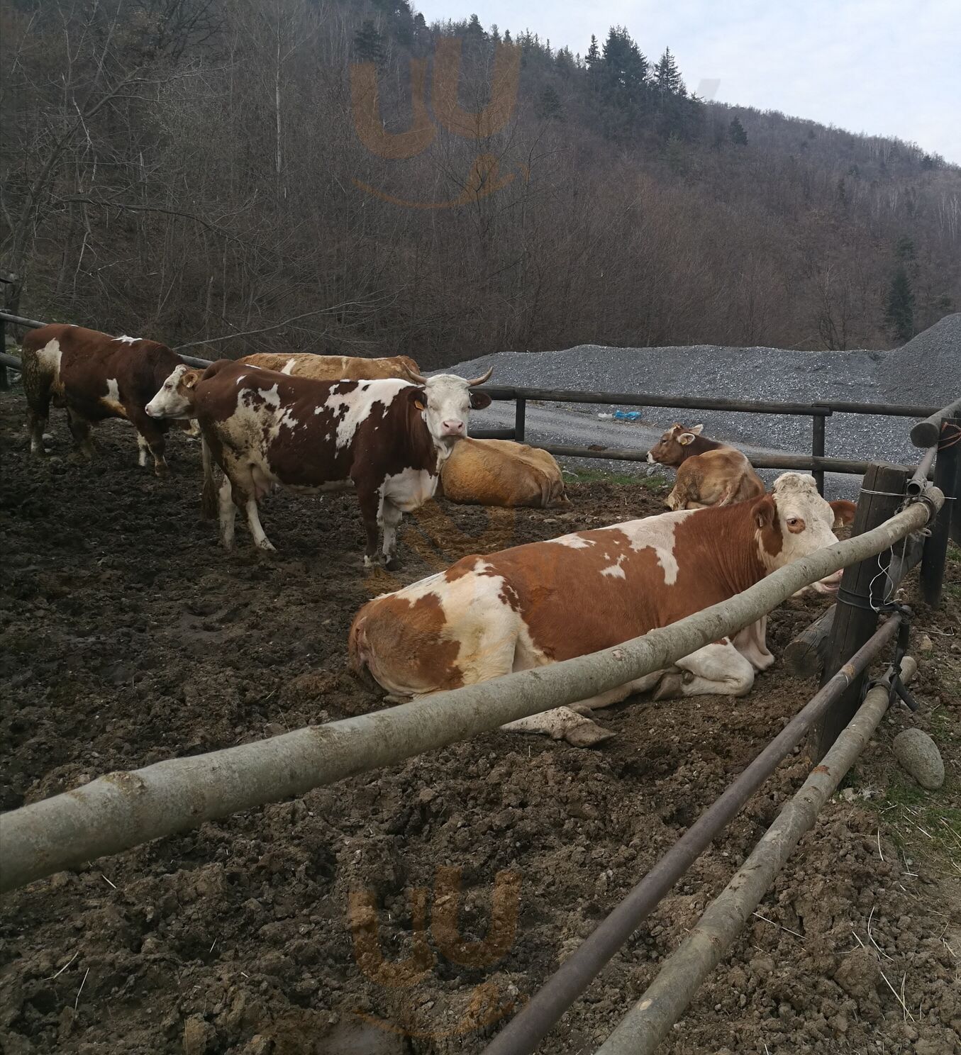 Foto 8 di Cà' Del Dùduro - Garessio