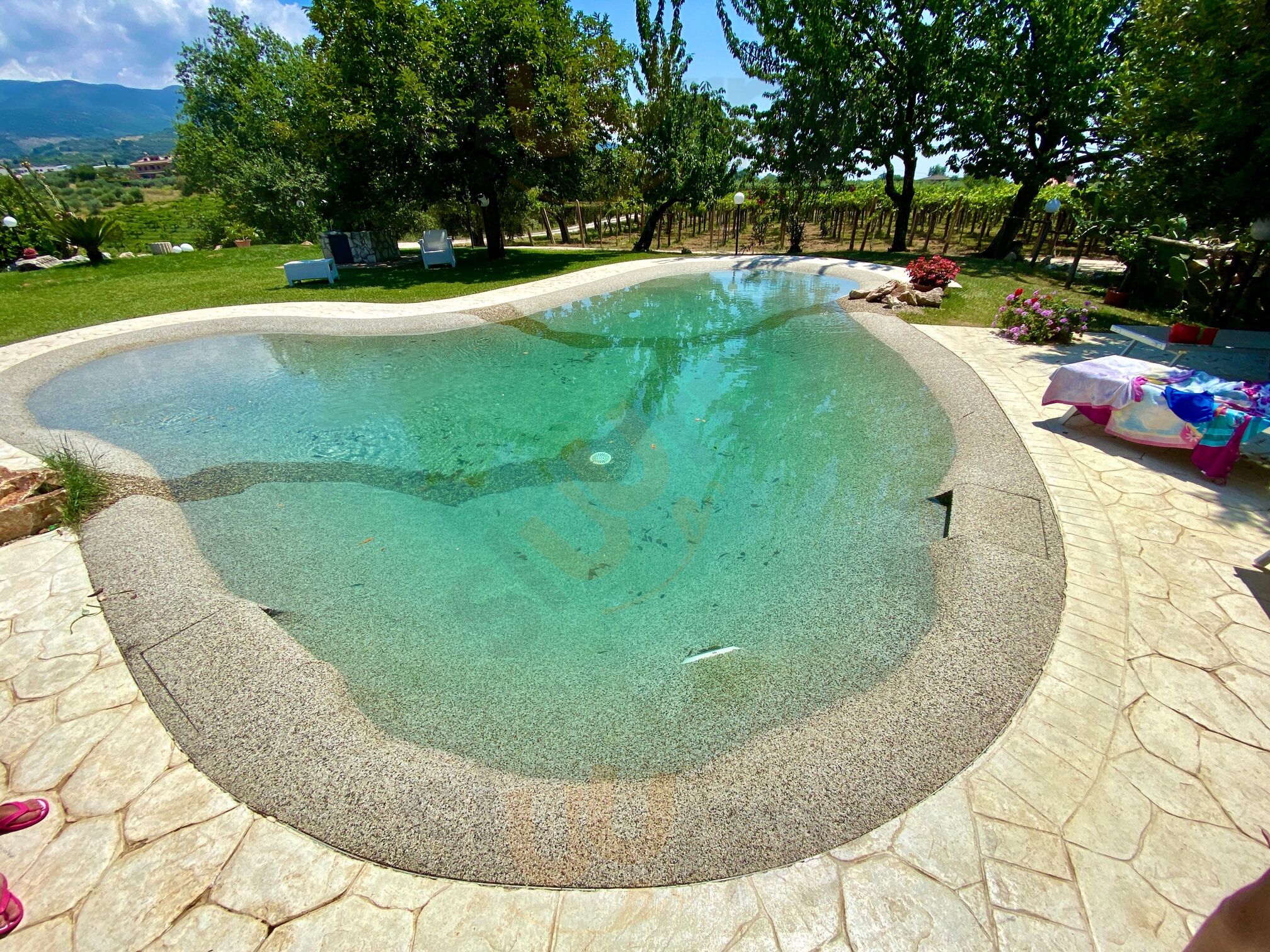 Foto di Il Casale Delle Vigne - 9/10