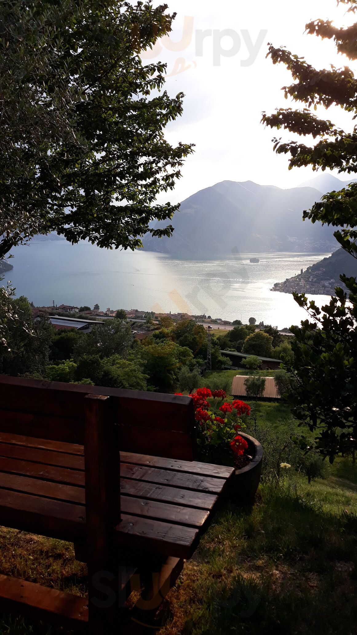 Foto di Agriturismo A Clusino - 10/10