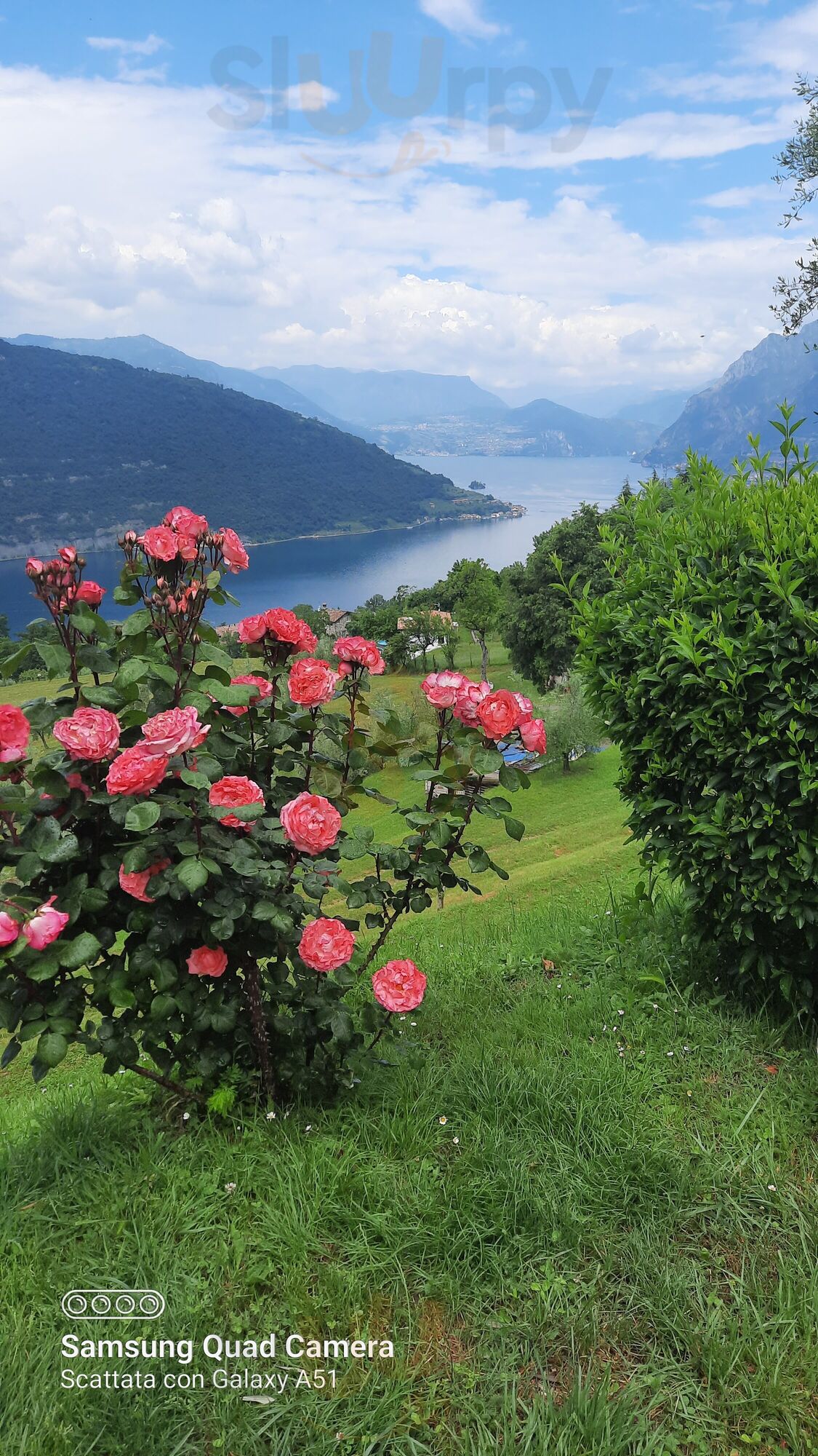 Foto di Agriturismo A Clusino - 8/10