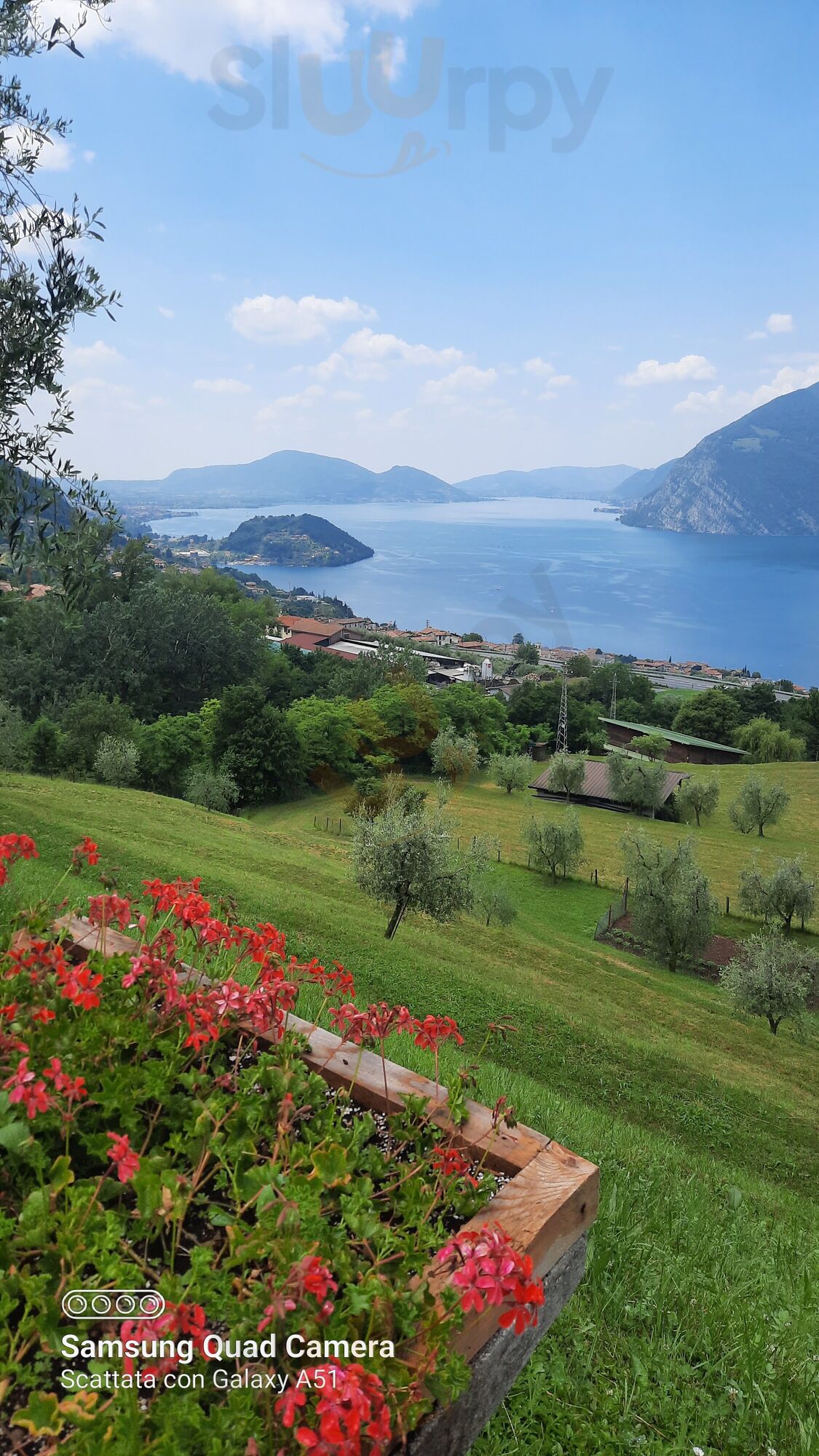 Foto di Agriturismo A Clusino - 9/10