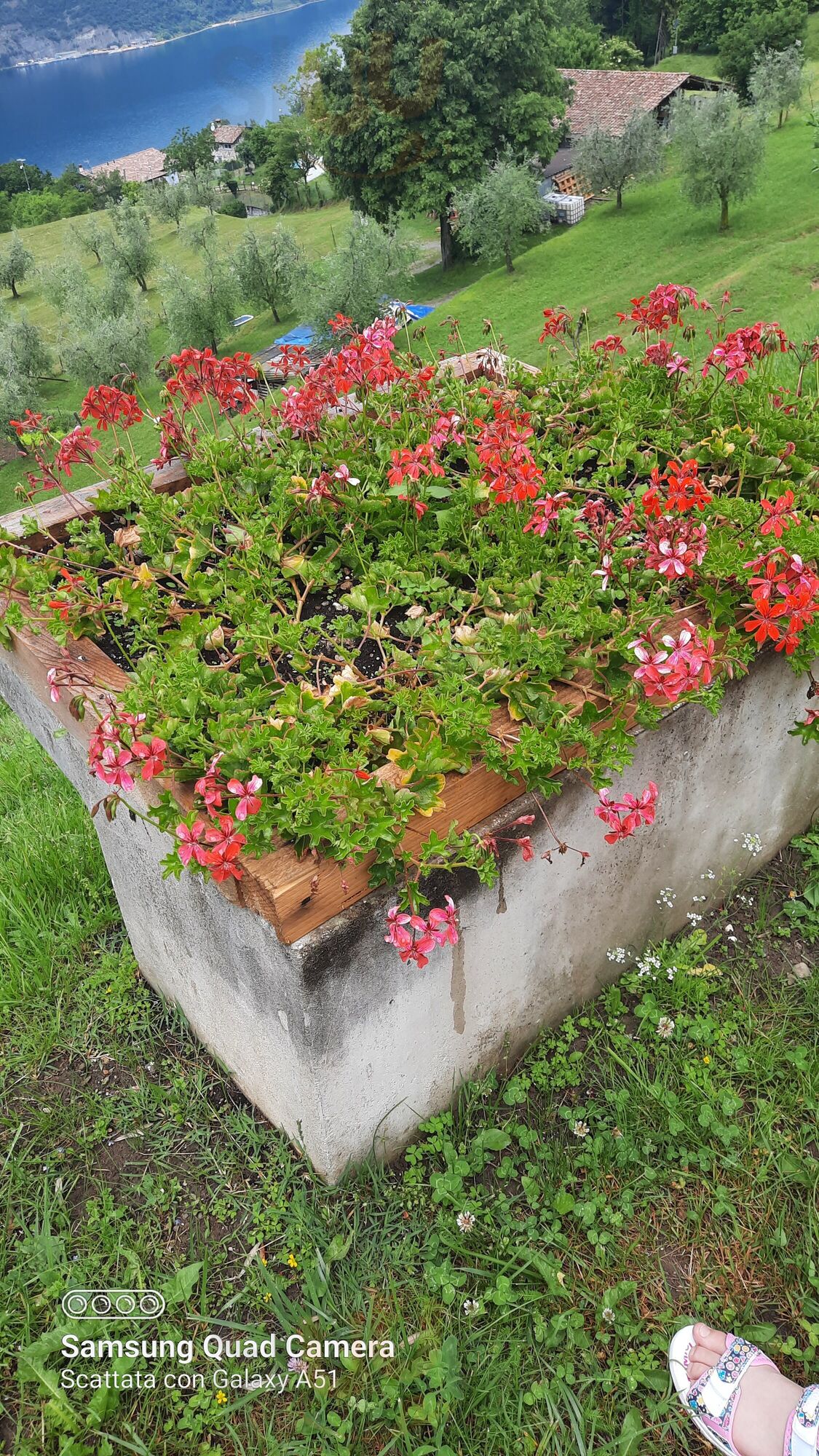 Foto di Agriturismo A Clusino - 6/10