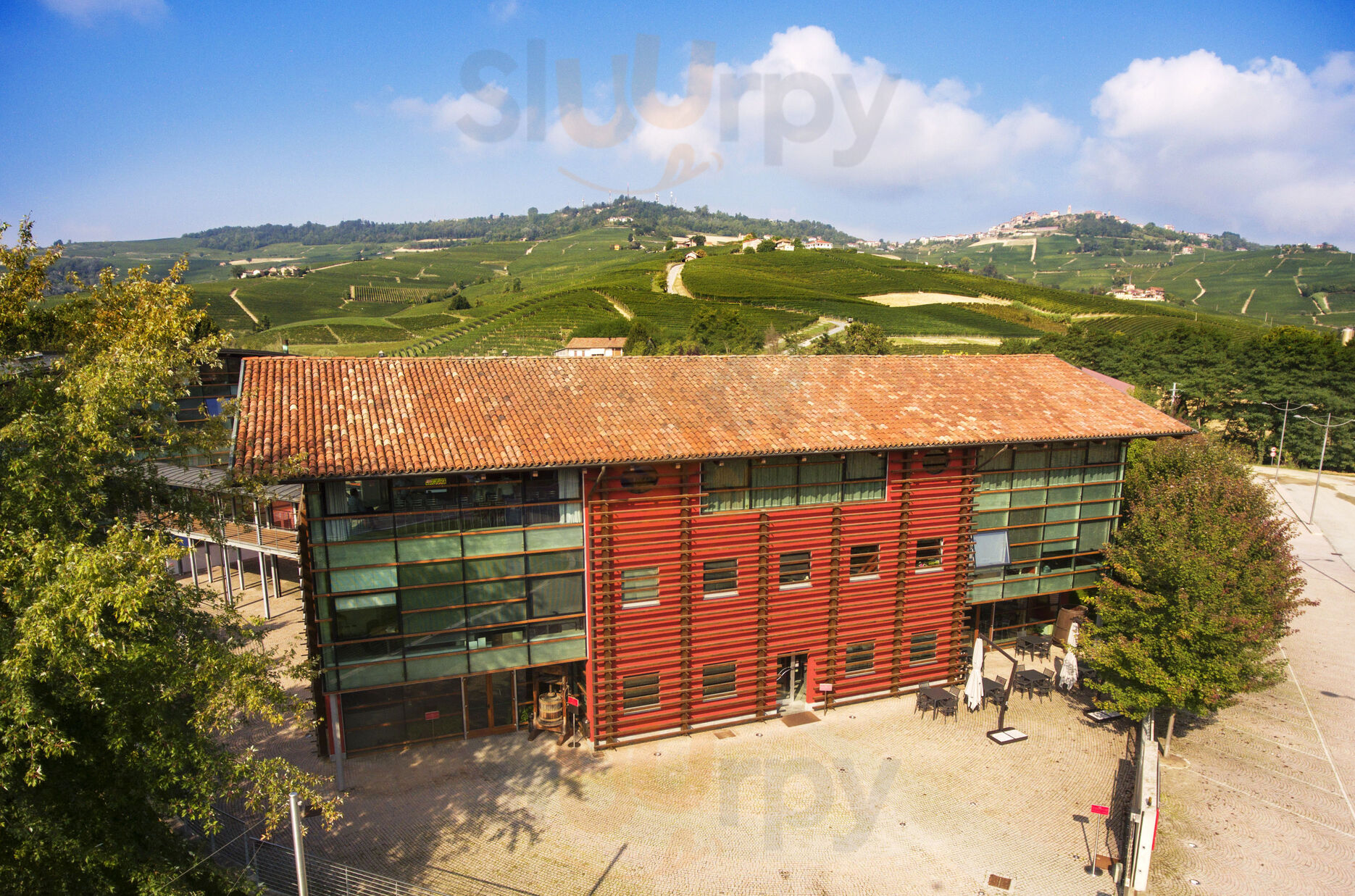 Foto 10 di Vite Colte - Barolo