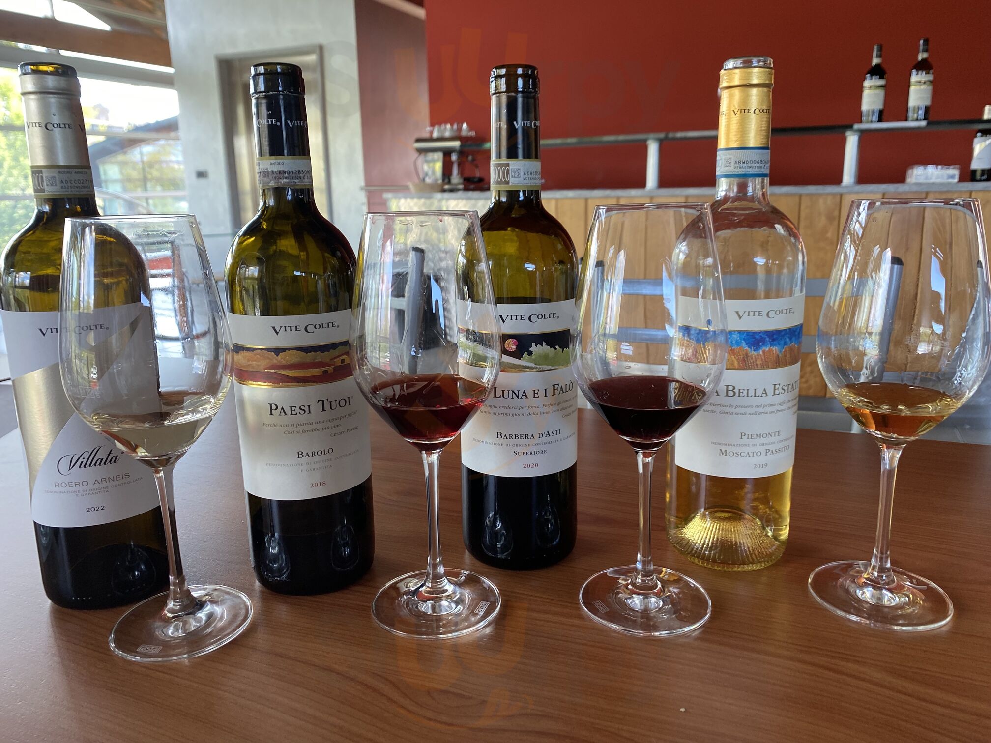Foto 8 di Vite Colte - Barolo