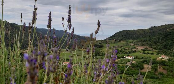 Foto di Monilia Del Casale - 6/10