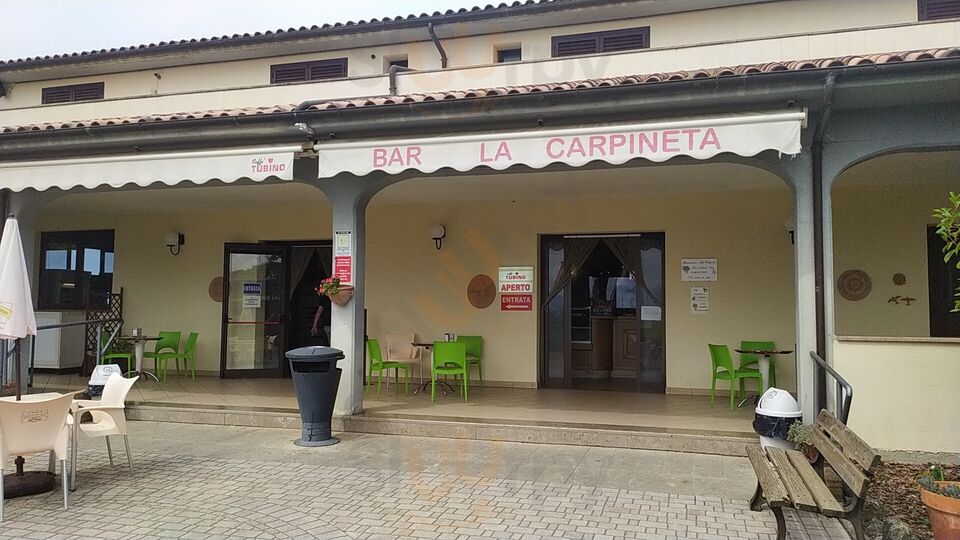 Bar della Carpineta