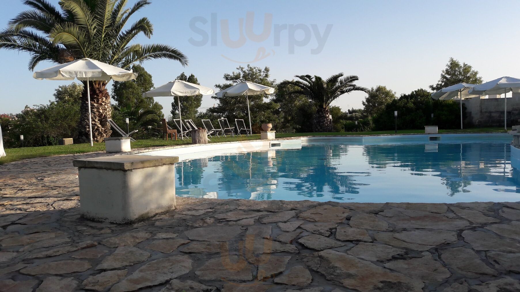 Foto di Tenuta La Corte - 8/10