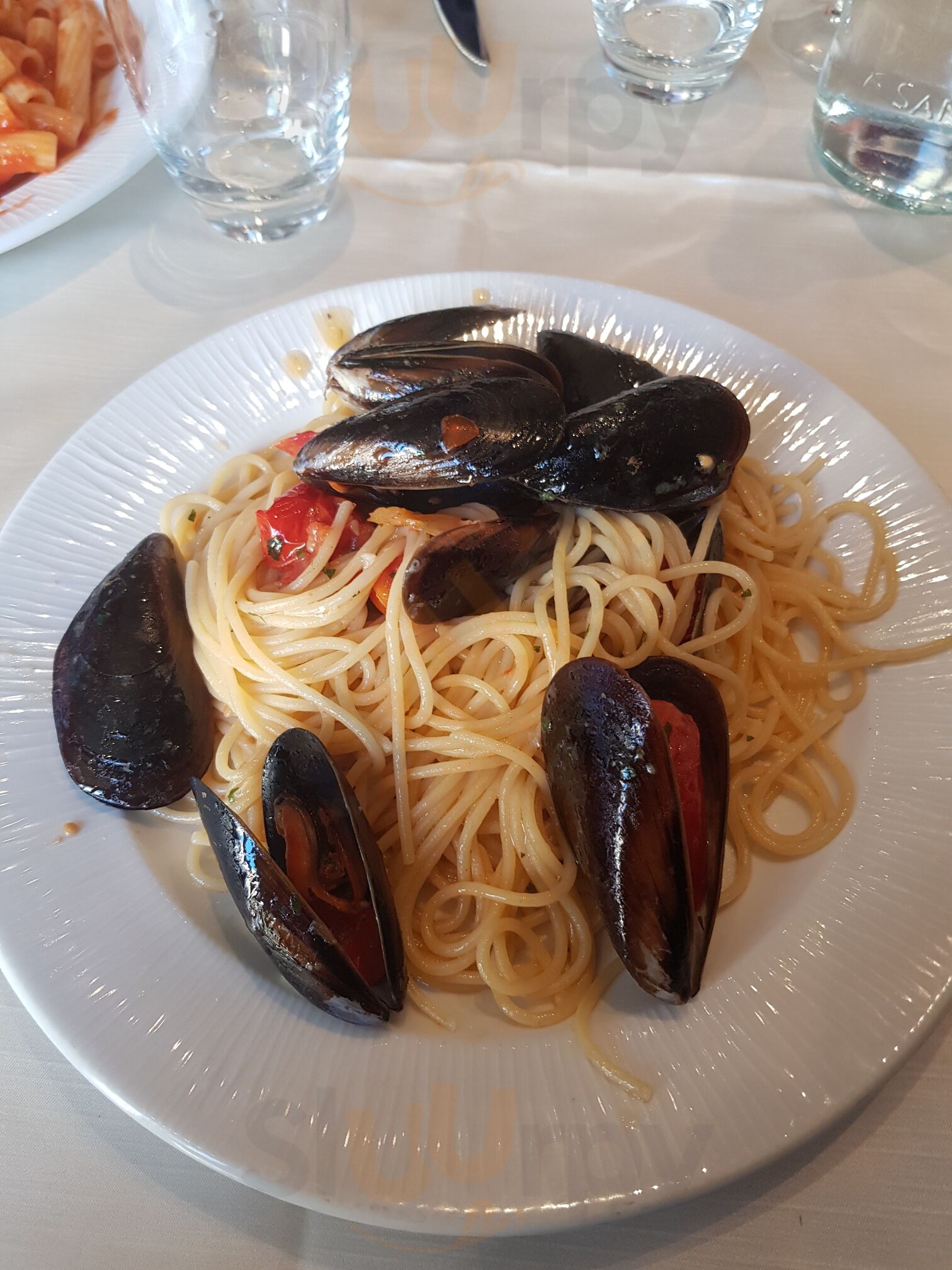 Senso Unico
