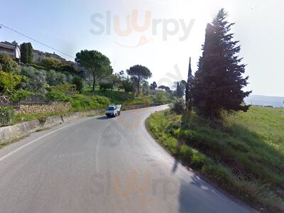 Foto 6 di Fratelli Rocchi - Casale Marittimo